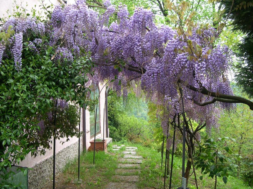 B&B Four Winds Фоллина Экстерьер фото